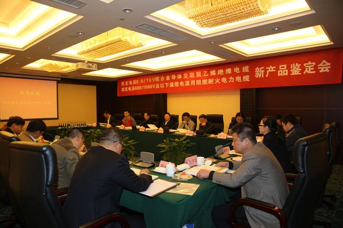 PG电子(官网)最新IOS/安卓版/手机版APP下载