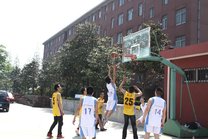 PG����(����)����IOS/��׿��/�ֻ���APP����