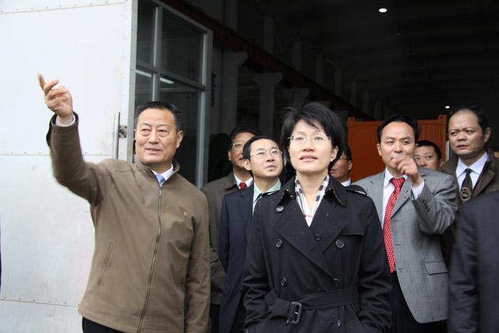 PG����(����)����IOS/��׿��/�ֻ���APP����