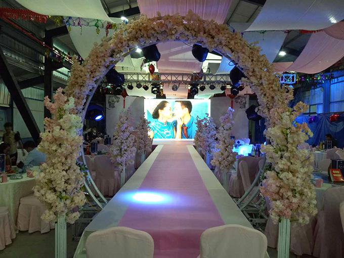 PG����(����)����IOS/��׿��/�ֻ���APP����