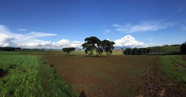 PG����(����)����IOS/��׿��/�ֻ���APP����