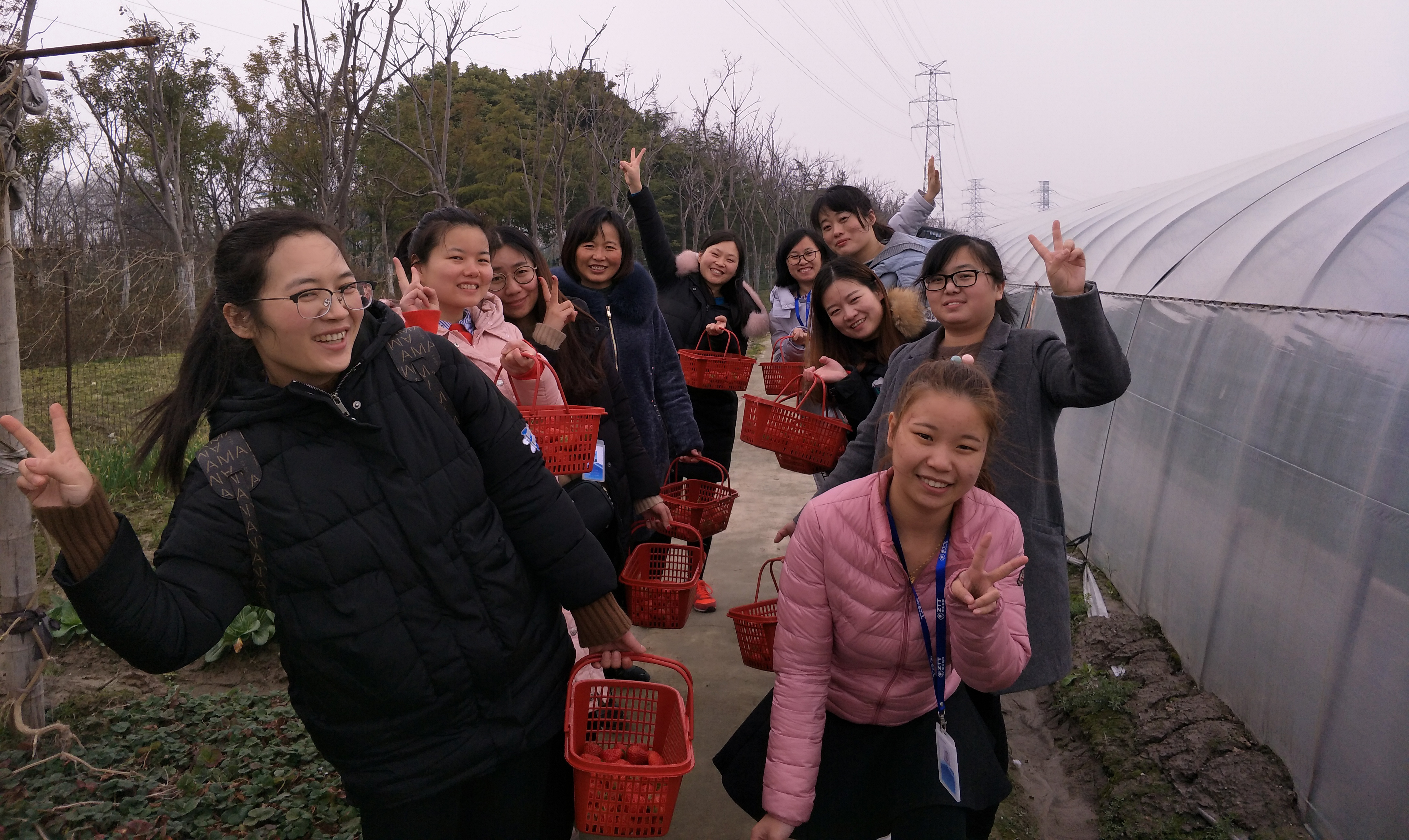 PG����(����)����IOS/��׿��/�ֻ���APP����