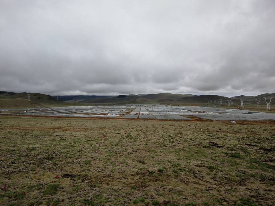 PG����(����)����IOS/��׿��/�ֻ���APP����