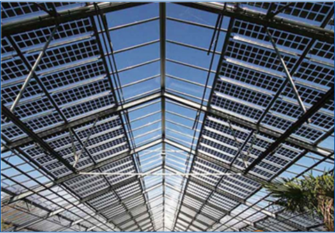 PG����(����)����IOS/��׿��/�ֻ���APP����