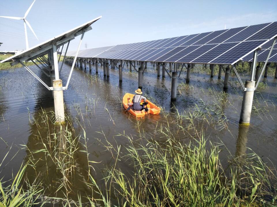 PG����(����)����IOS/��׿��/�ֻ���APP����