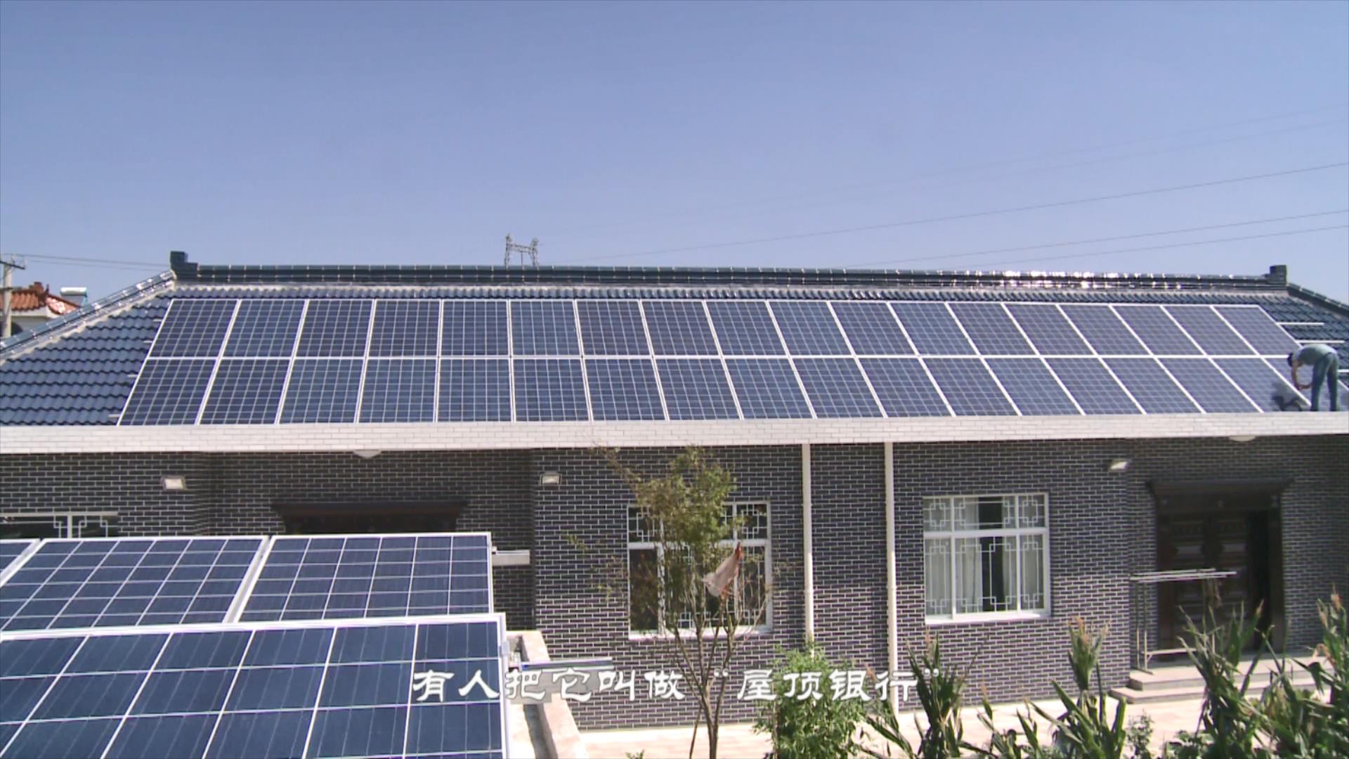 PG����(����)����IOS/��׿��/�ֻ���APP����