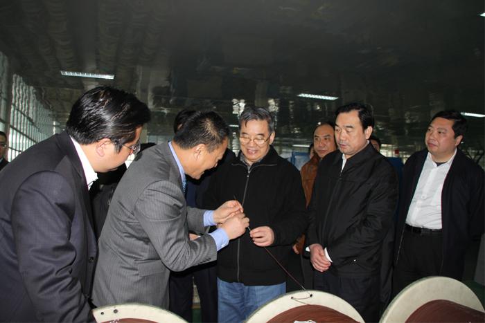 PG����(����)����IOS/��׿��/�ֻ���APP����