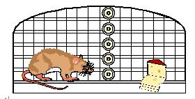 PGµç×Ó(¹ÙÍø)×îÐÂIOS/°²×¿°æ/ÊÖ»ú°æAPPÏÂÔØ