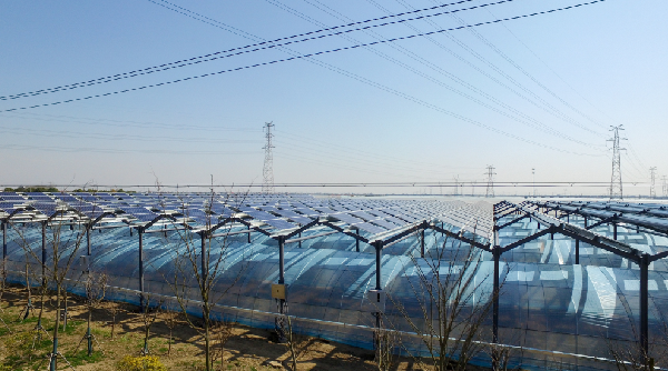 PG����(����)����IOS/��׿��/�ֻ���APP����