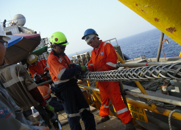 PG����(����)����IOS/��׿��/�ֻ���APP����