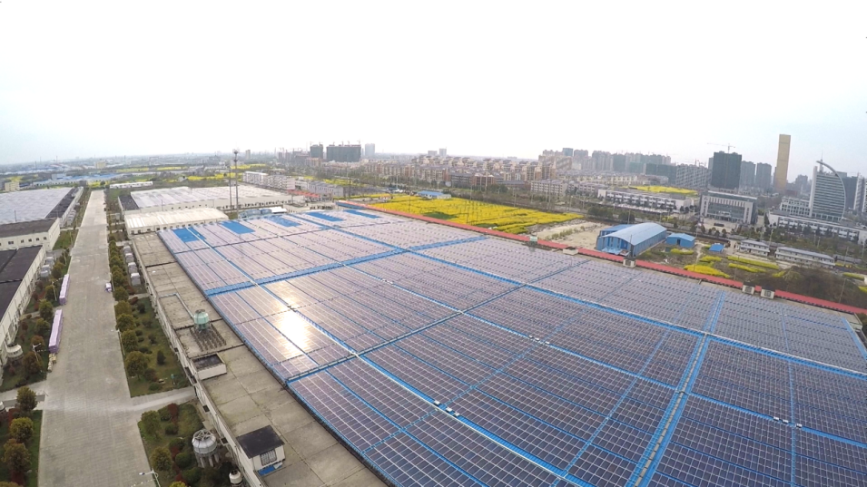 PG����(����)����IOS/��׿��/�ֻ���APP����