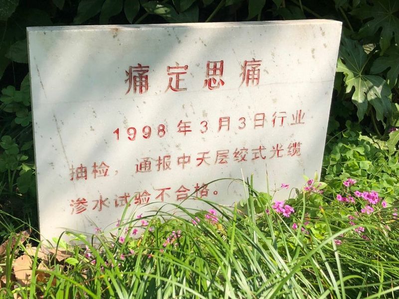 PG����(����)����IOS/��׿��/�ֻ���APP����