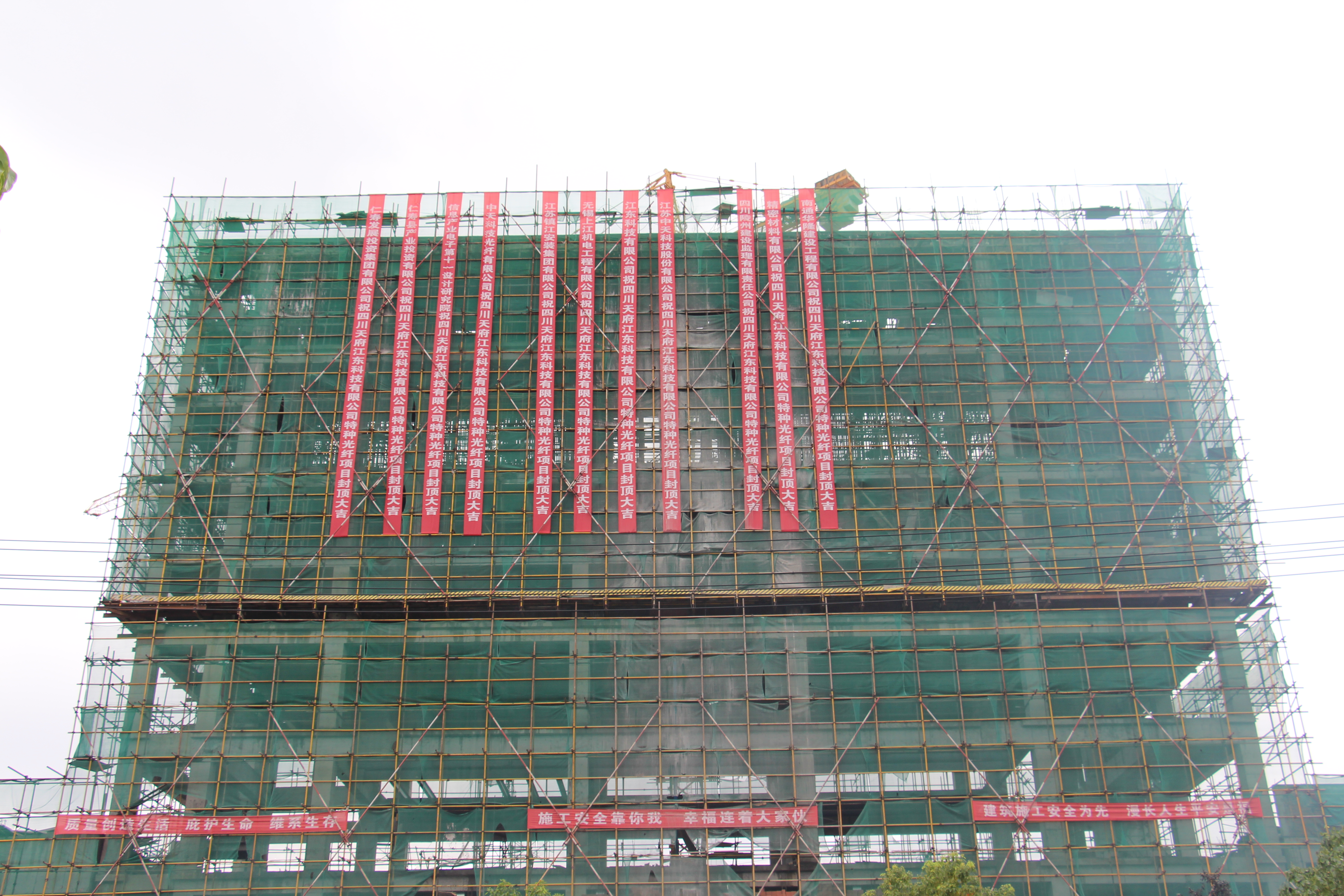 PG����(����)����IOS/��׿��/�ֻ���APP����