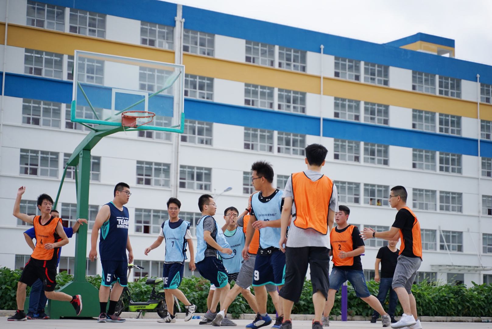 PG����(����)����IOS/��׿��/�ֻ���APP����