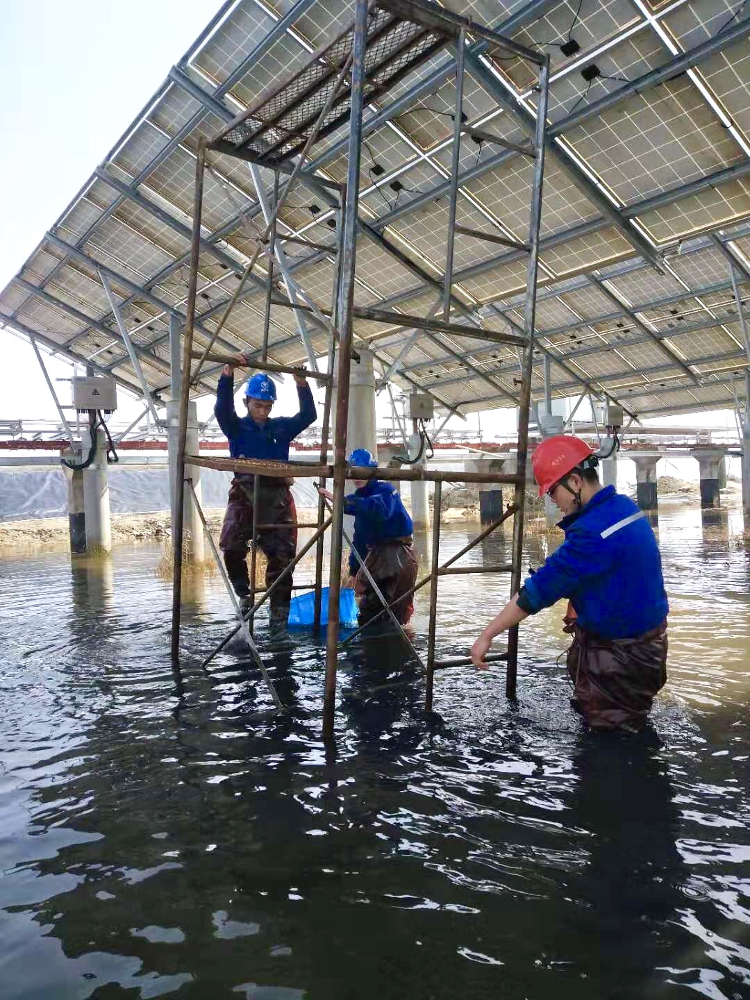 PG����(����)����IOS/��׿��/�ֻ���APP����