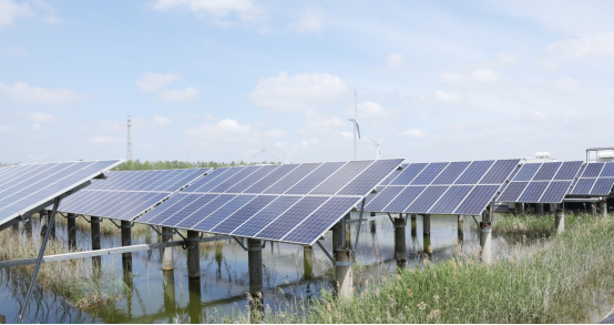 PG����(����)����IOS/��׿��/�ֻ���APP����