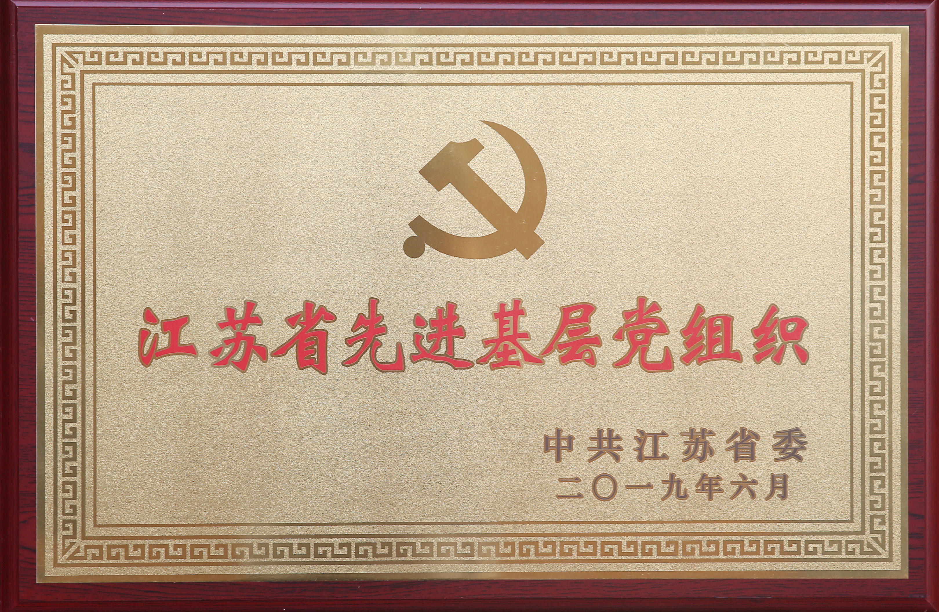 PG����(����)����IOS/��׿��/�ֻ���APP����