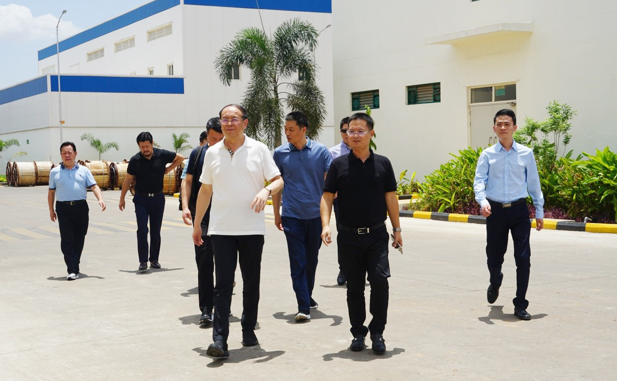 PG����(����)����IOS/��׿��/�ֻ���APP����