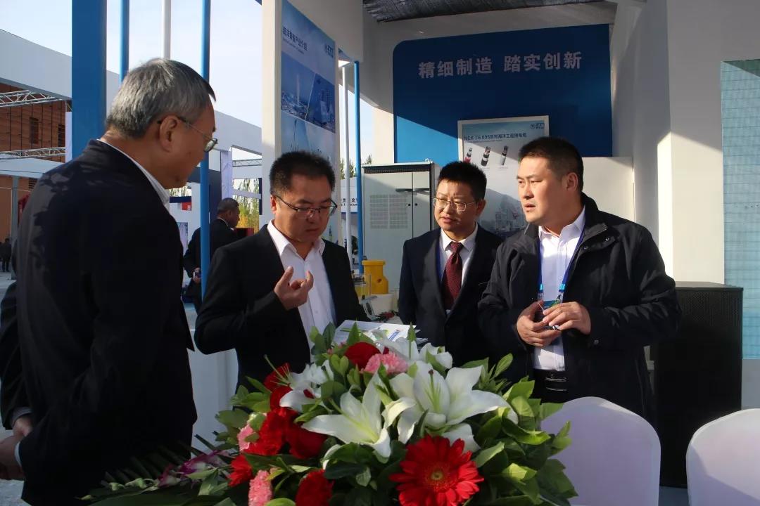 PG����(����)����IOS/��׿��/�ֻ���APP����