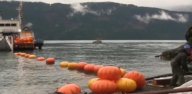 PG����(����)����IOS/��׿��/�ֻ���APP����