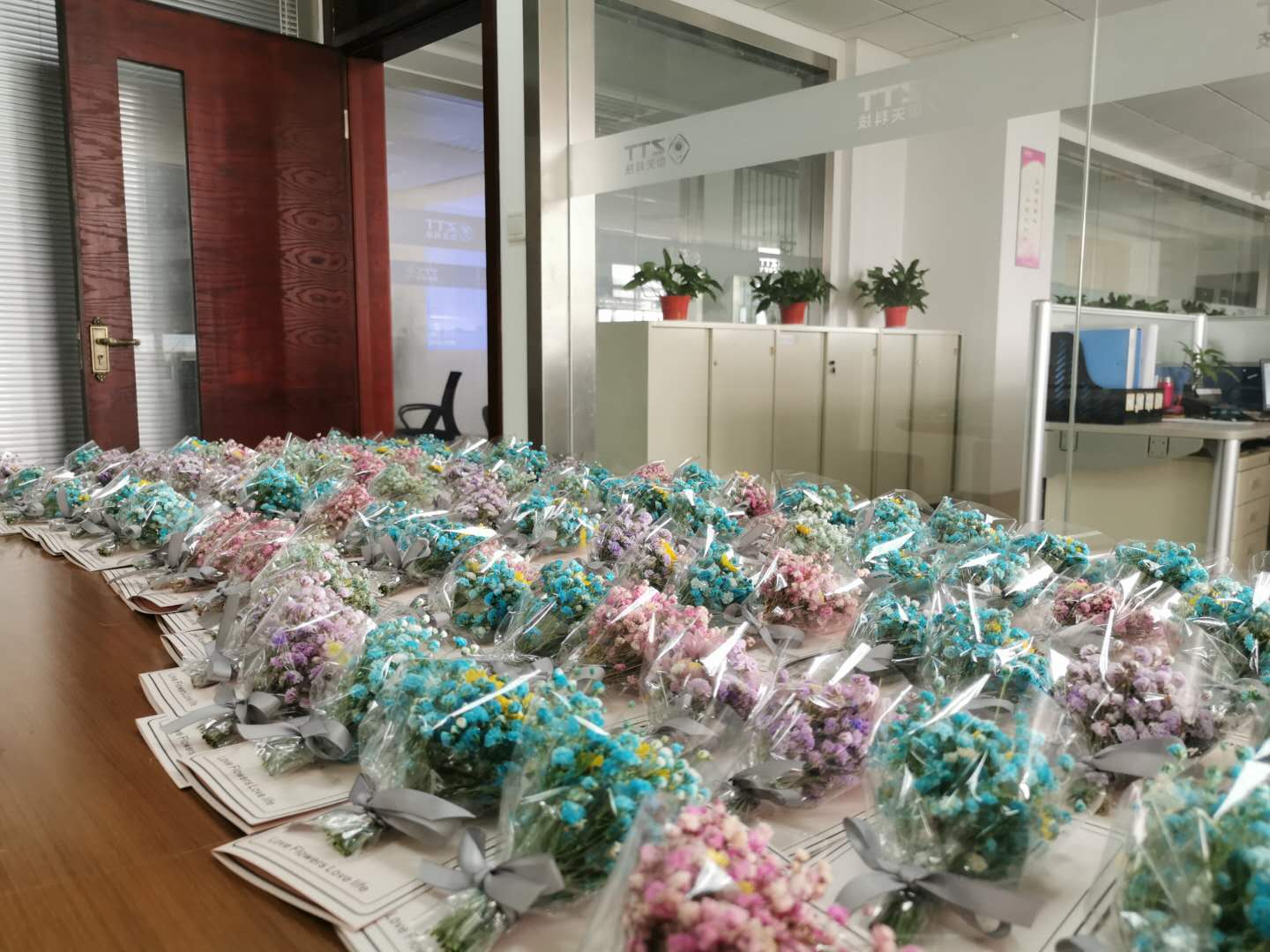 PG����(����)����IOS/��׿��/�ֻ���APP����