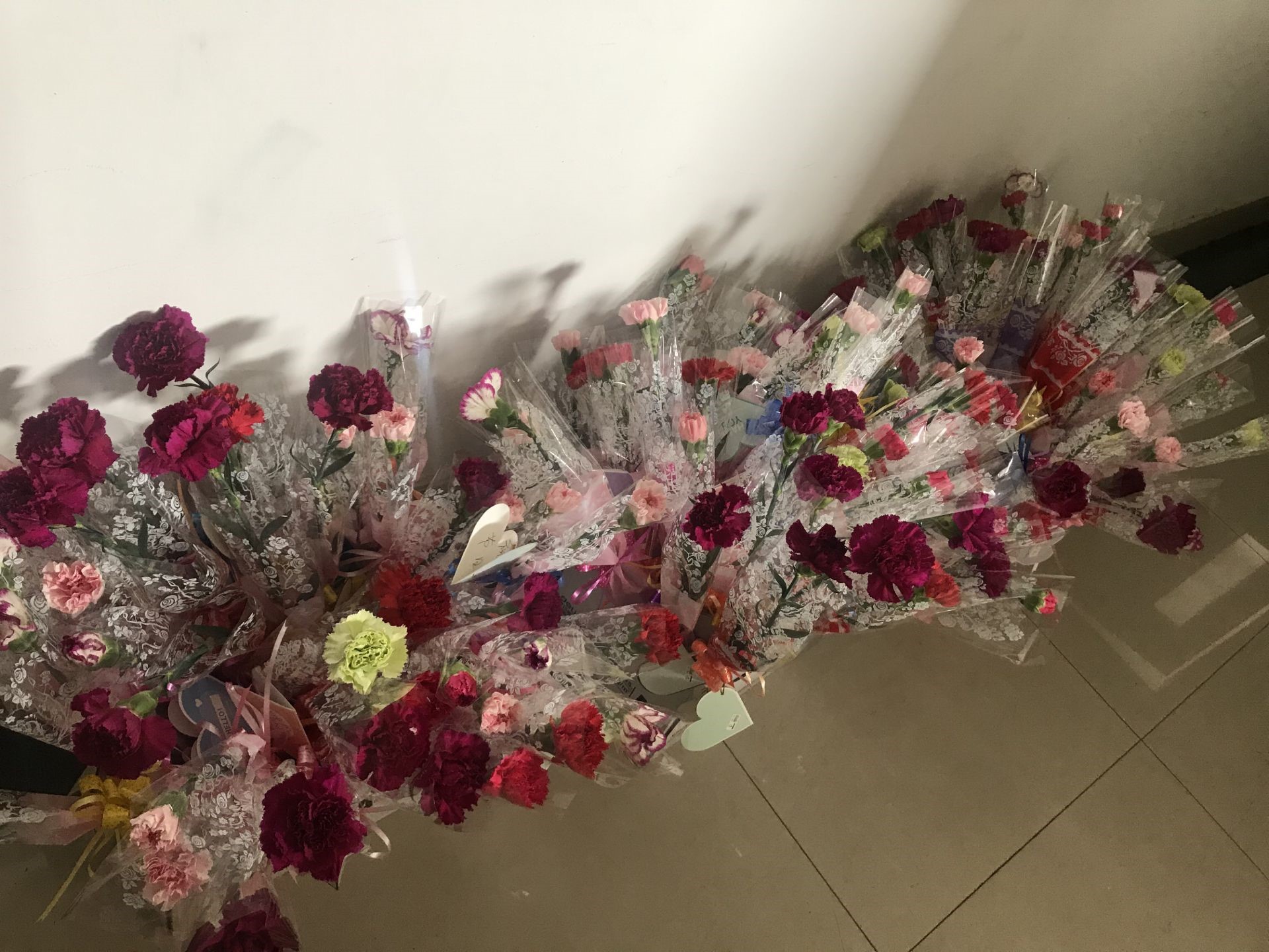 PG����(����)����IOS/��׿��/�ֻ���APP����