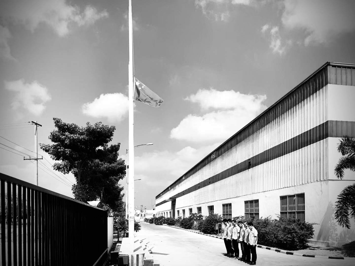 PG����(����)����IOS/��׿��/�ֻ���APP����