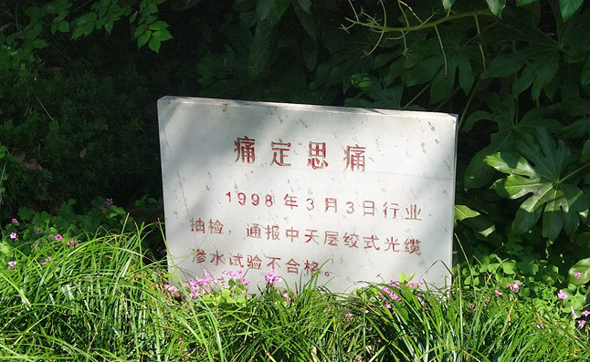 PG����(����)����IOS/��׿��/�ֻ���APP����