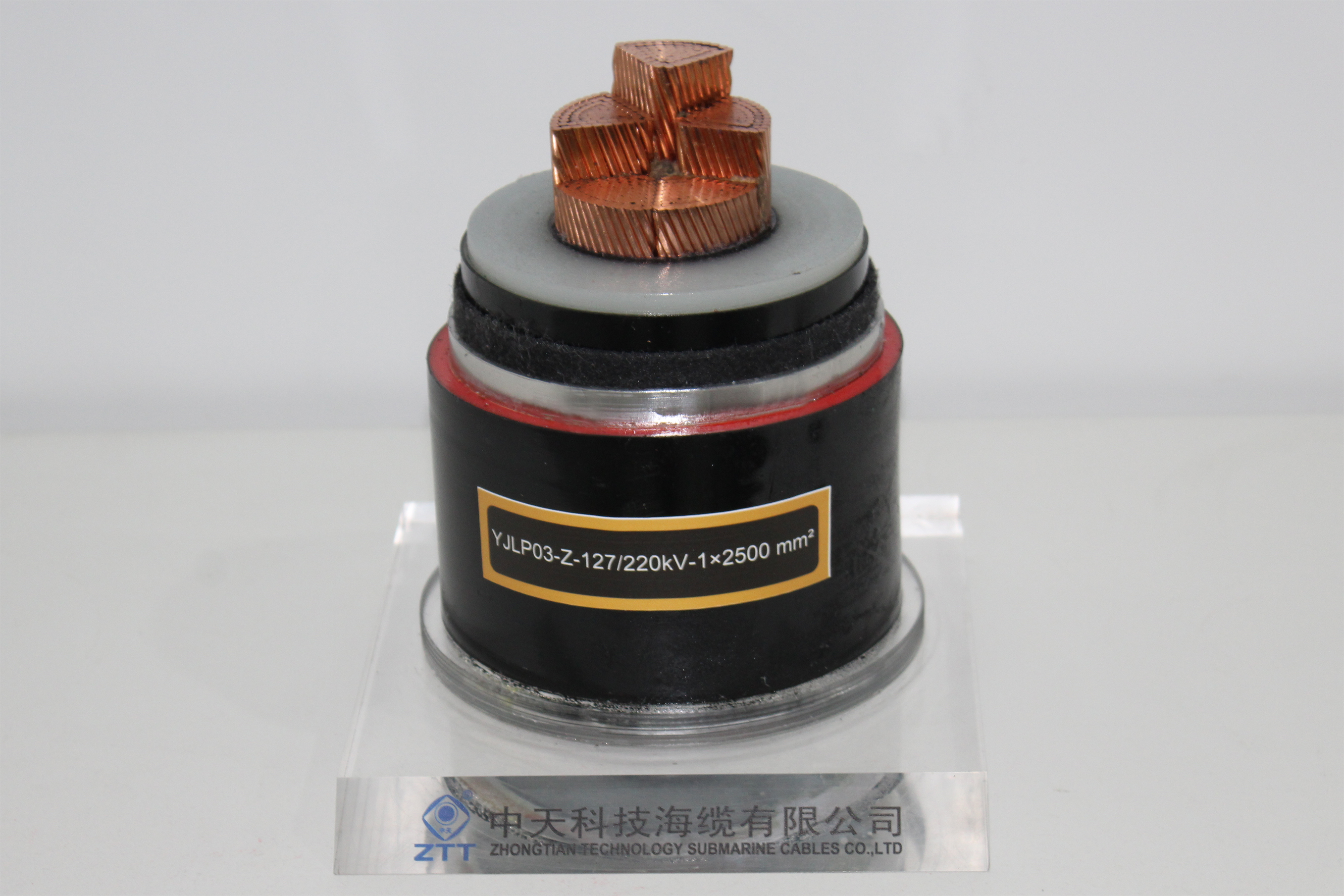 PG����(����)����IOS/��׿��/�ֻ���APP����