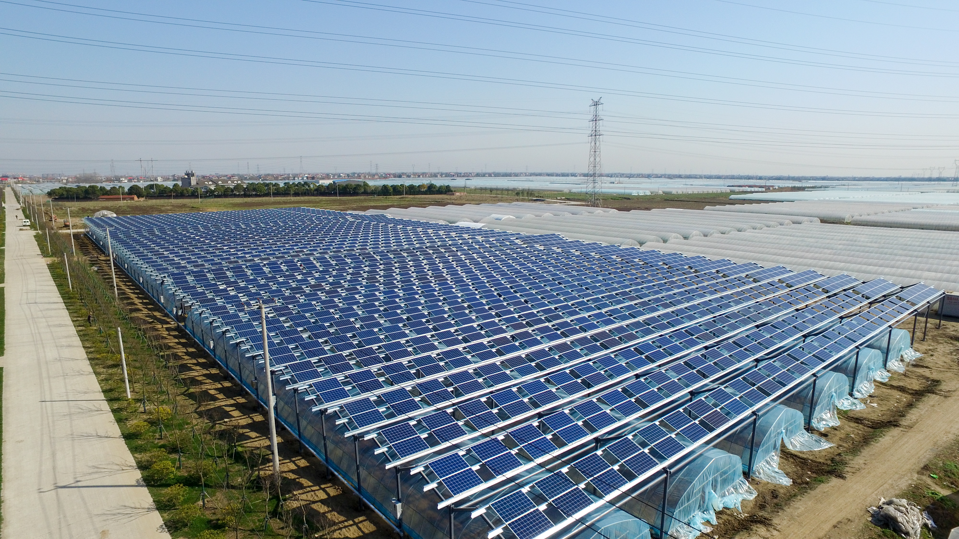 PG����(����)����IOS/��׿��/�ֻ���APP����