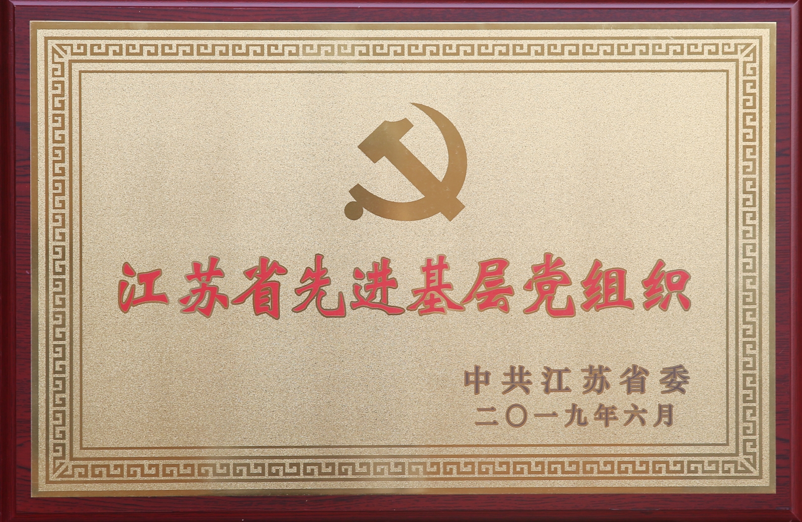 PG����(����)����IOS/��׿��/�ֻ���APP����