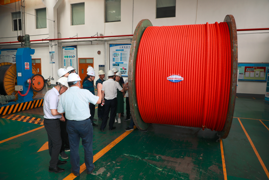 PG����(����)����IOS/��׿��/�ֻ���APP����