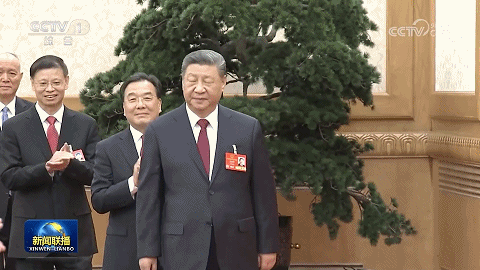 PG����(����)����IOS/��׿��/�ֻ���APP����