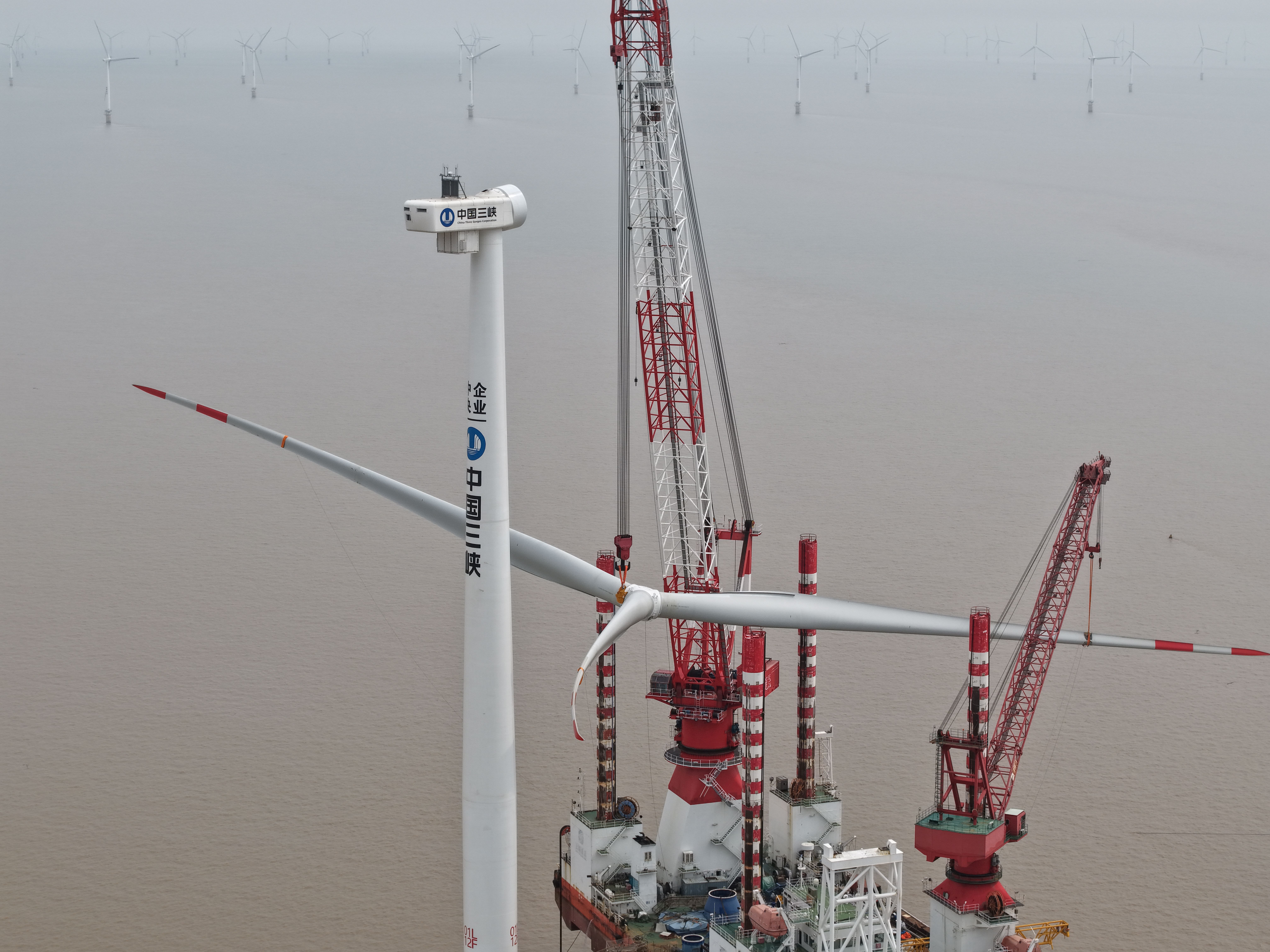 PG����(����)����IOS/��׿��/�ֻ���APP����